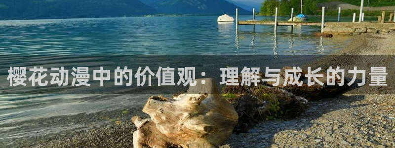 拷贝漫画 copymanager.ory网站：樱花动漫中的价值观：理解与成长的力量