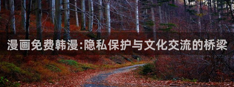 拷贝漫画 copymanager.ory网站：漫画免费韩漫:隐私保护与文化交流的桥梁