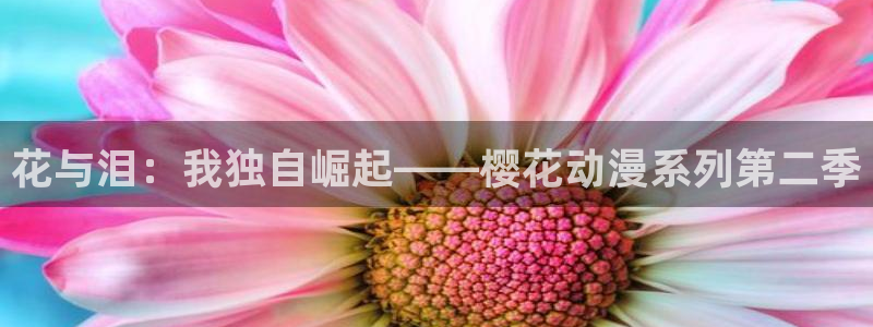lovestage漫画免费阅读：花与泪：我独自崛起——樱花动漫系列第二季