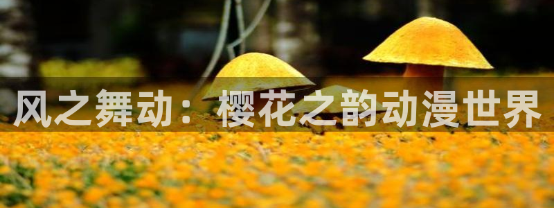 yy漫画专注动漫的门户网站：风之舞动：樱花之韵动漫世界