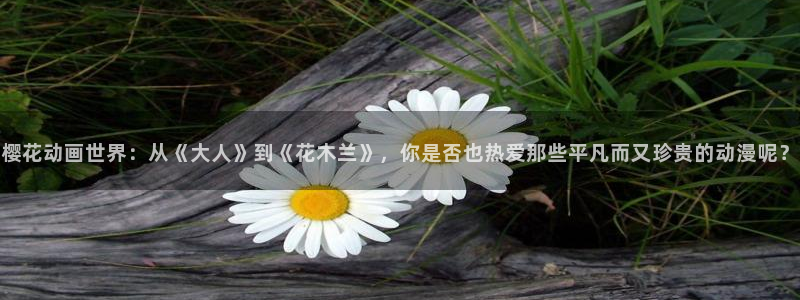 yy漫画官网版入口：樱花动画世界：从《大人》到《花木兰》，你是否也热爱那些平凡而又珍贵的动漫呢？