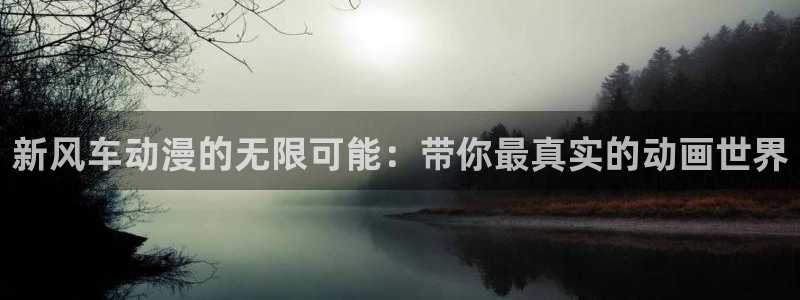 colamanage漫画：新风车动漫的无限可能：带你最真实的动画世界