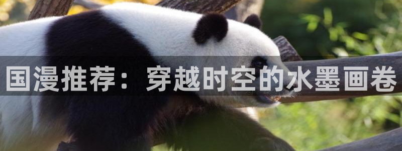 yy漫画官网入口老版本：国漫推荐：穿越时空的水墨画卷