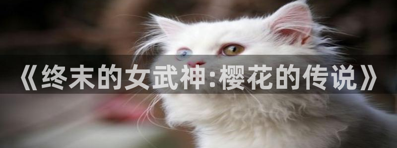 managereader漫画官网入口：《终末的女武神:樱花的传说》