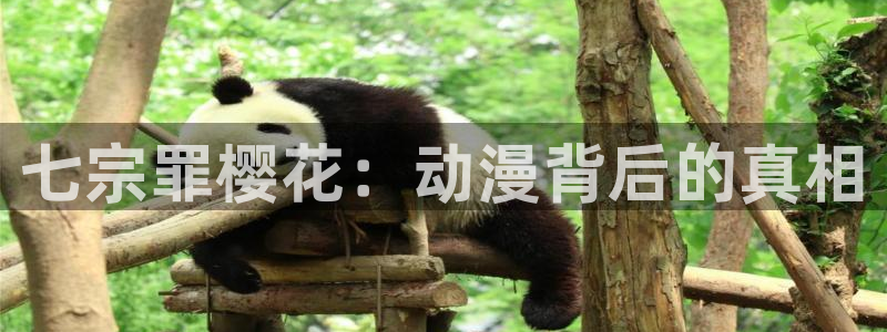 yy漫画下载：七宗罪樱花：动漫背后的真相