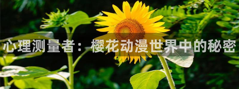 yy漫画官网在线入口：心理测量者：樱花动漫世界中的秘密