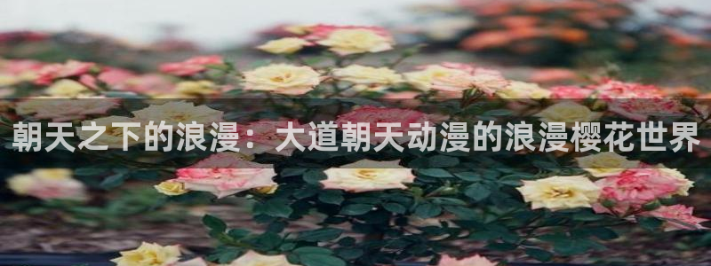 韩国漫画平台kakaopage：朝天之下的浪漫：大道朝天动漫的浪漫樱花世界