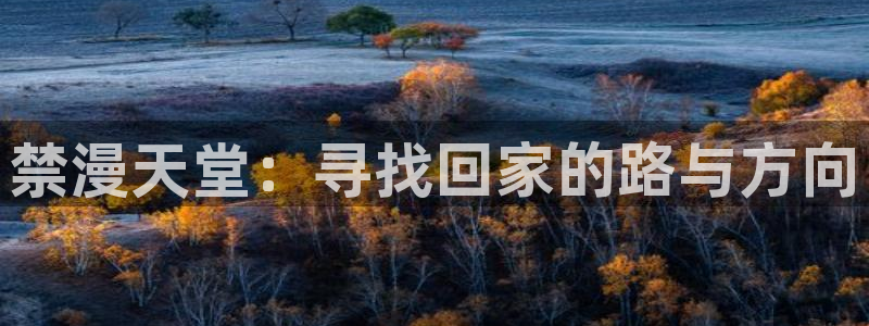 kakaopage韩漫官网：禁漫天堂：寻找回家的路与方向