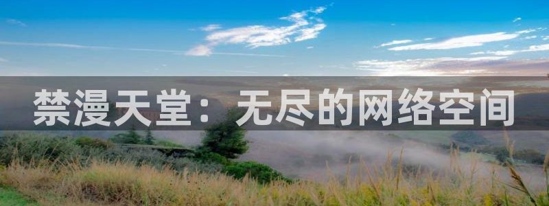 age樱花动漫：禁漫天堂：无尽的网络空间